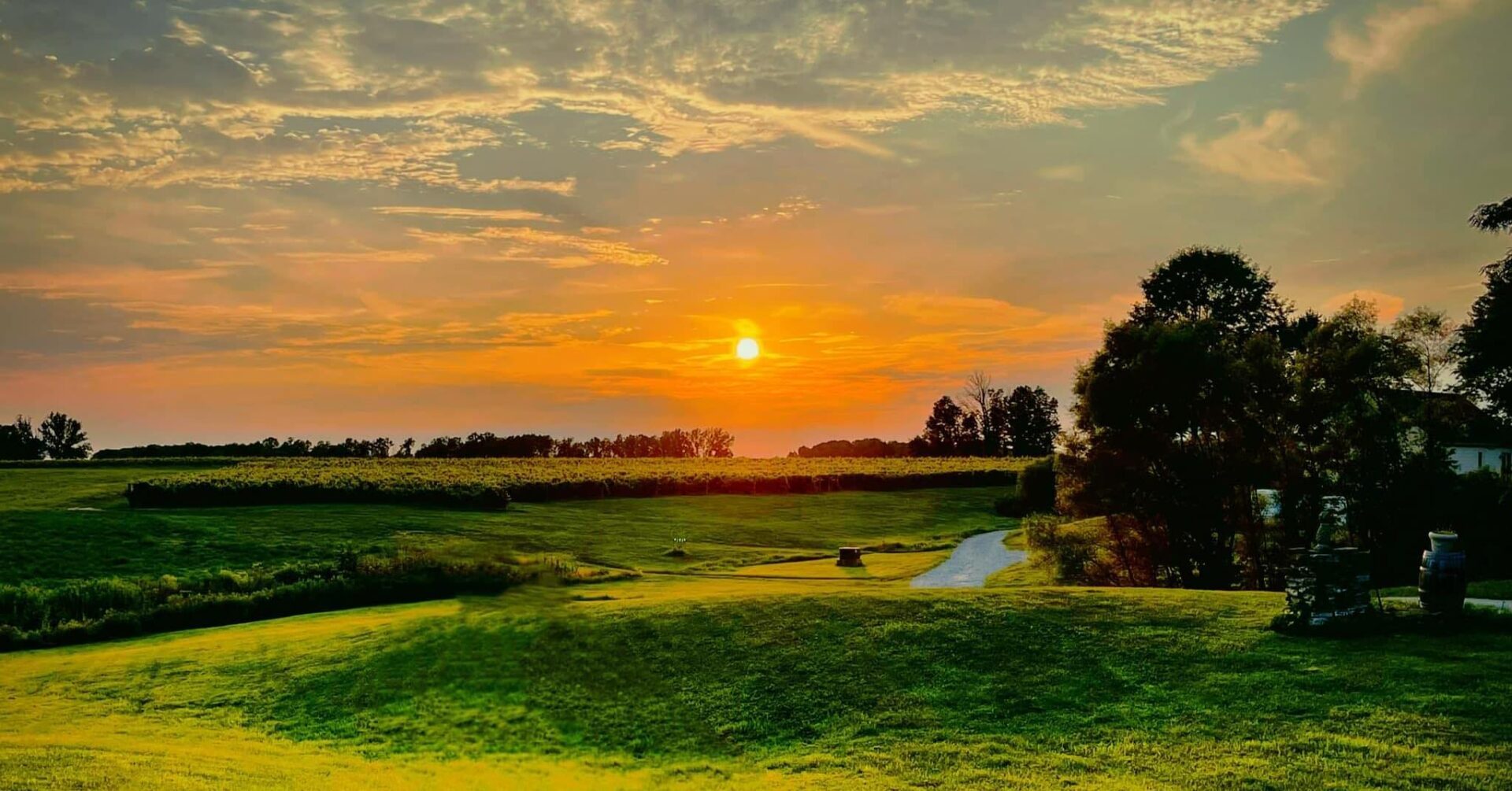 A sunset over the grass and trees of a golf course.